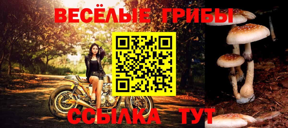 Псилоцибиновые грибы прущие грибы Арзамас