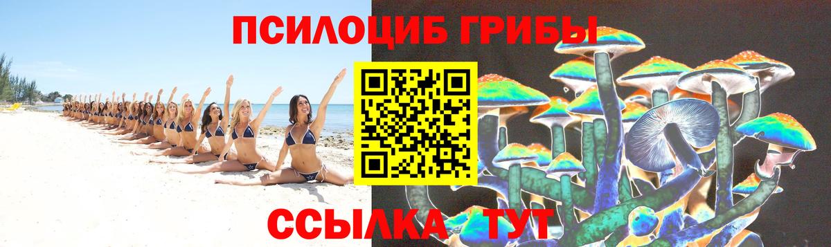 Псилоцибиновые грибы Psilocybine cubensis  Вход с VPN  Арзамас 